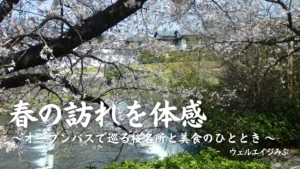 ウェルエイジみぶの、オープンバスでのお花見