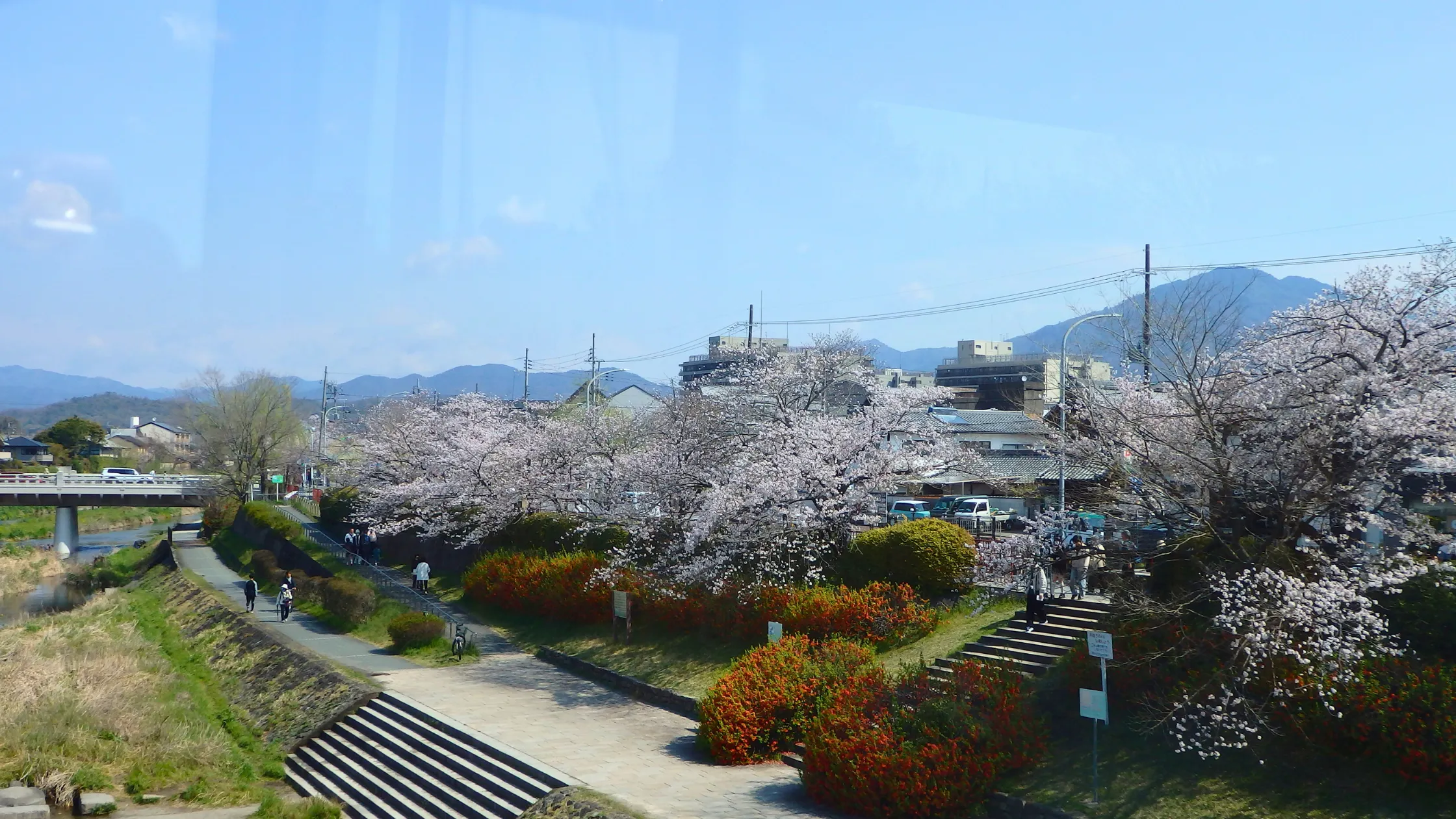 ウェルエイジみぶのお花見